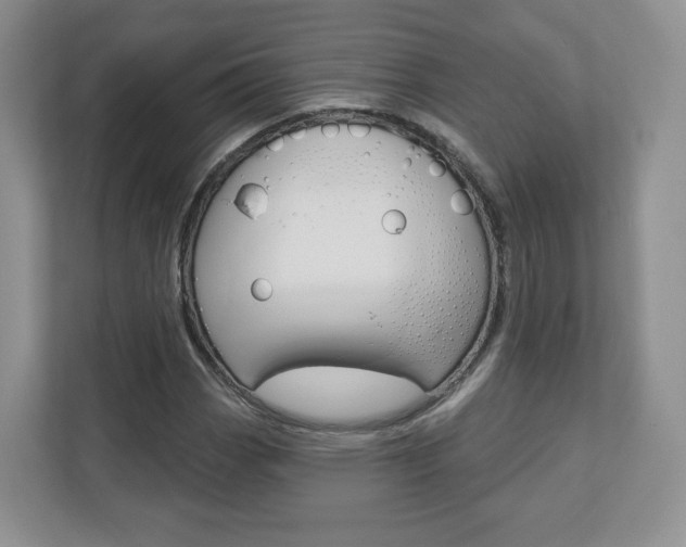 X0000110921113200906181210