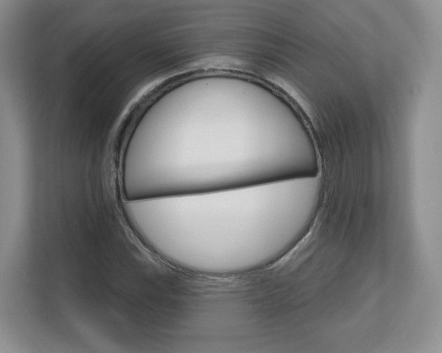 X0000110921115200906181210