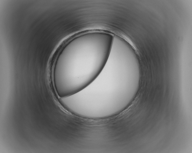 X0000110921116200906181210