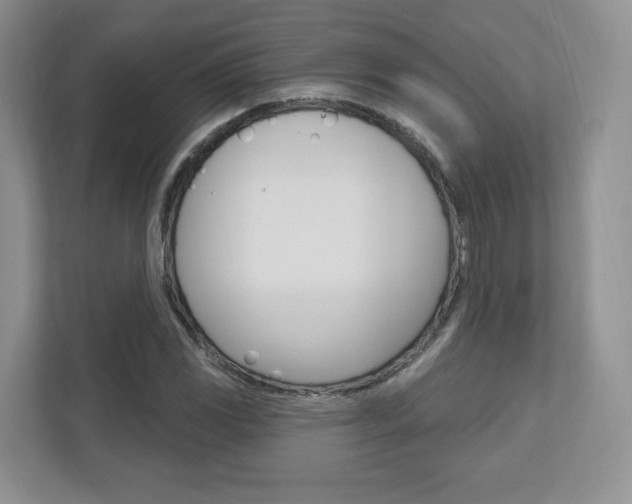 X0000110921117200906181210