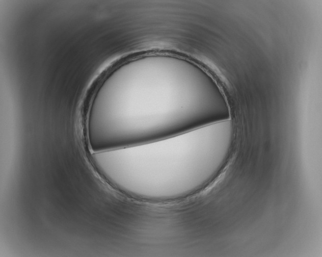 X0000110921118200906181210