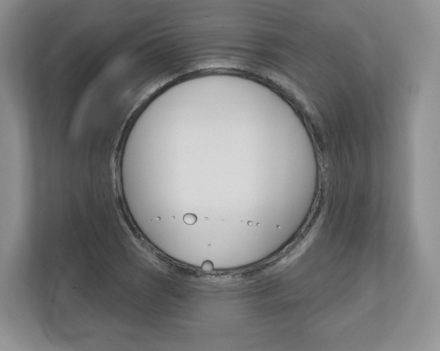 X0000110921121200906181210