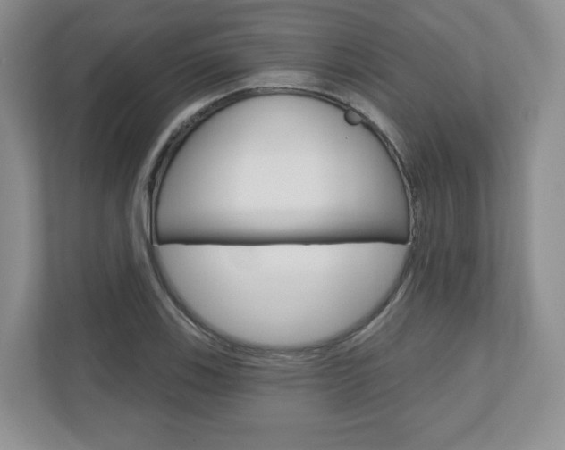 X0000110921123200906181210