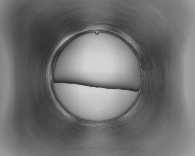 X0000110921127200906181210