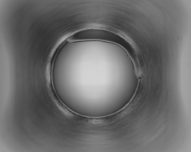 X0000110921128200906181210
