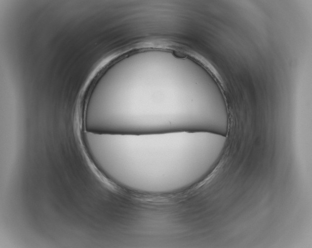 X0000110921131200906181210