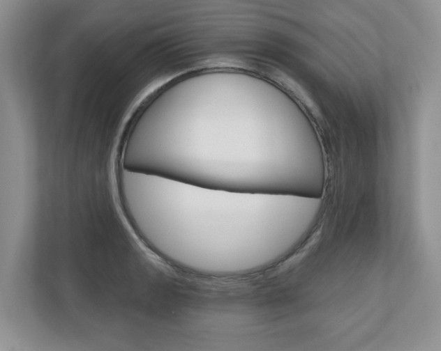 X0000110921133200906181210