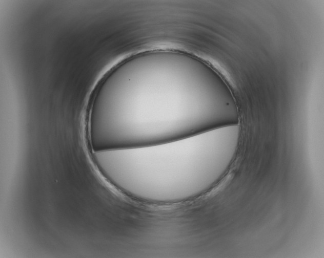 X0000110921134200906181211