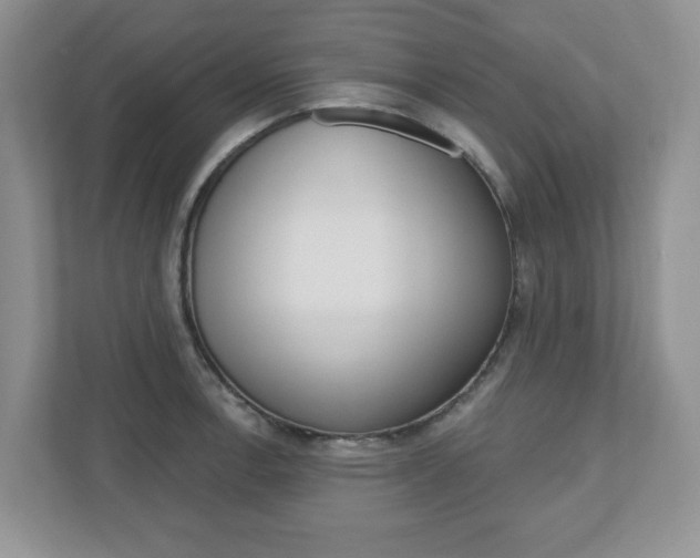 X0000110921138200906181211