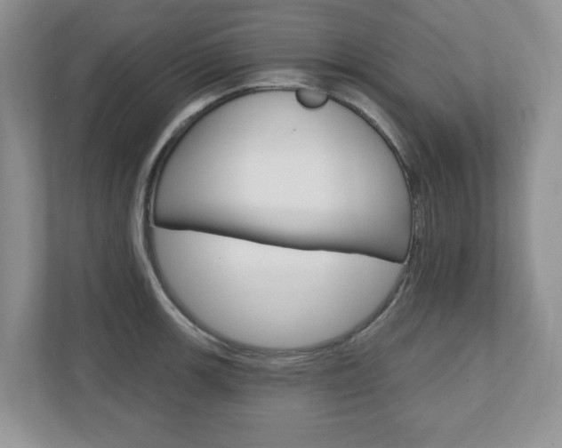 X0000110921139200906181211