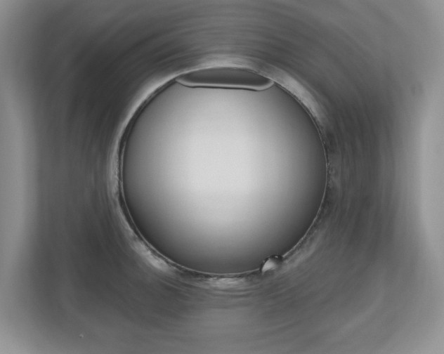 X0000110921140200906181211