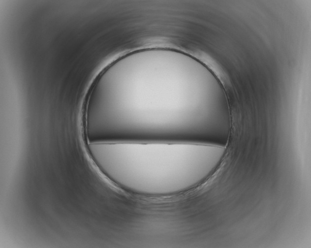 X0000110921142200906181211