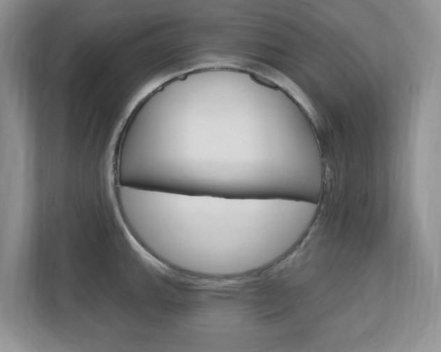 X0000110921143200906181211