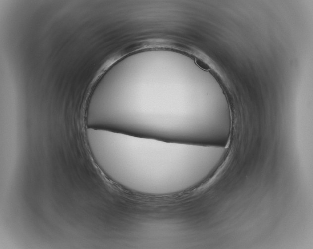 X0000110921145200906181211