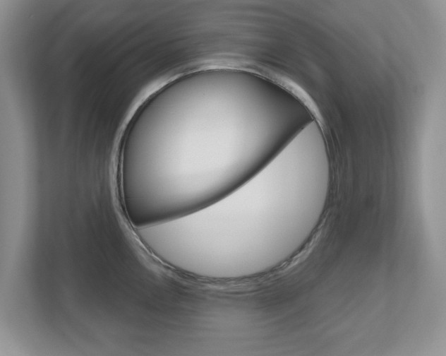 X0000110921146200906181211