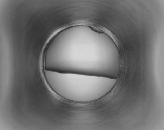 X0000110921147200906181211