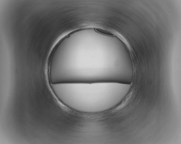 X0000110921149200906181211