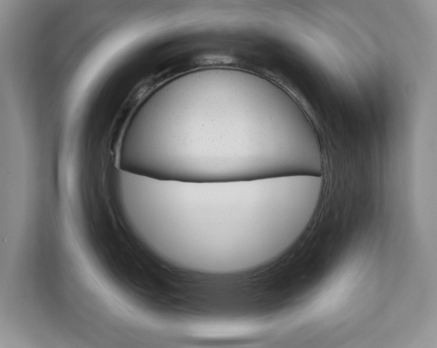 X0000110921151200906181211