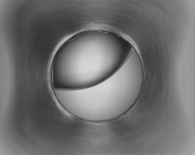 X0000110921152200906181211