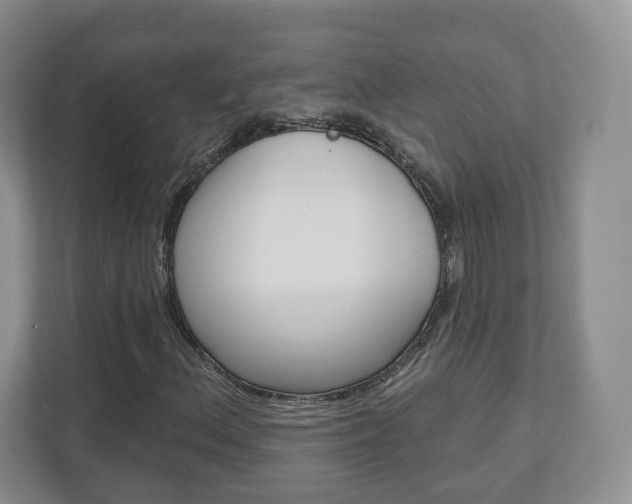 X0000110921156200906181210