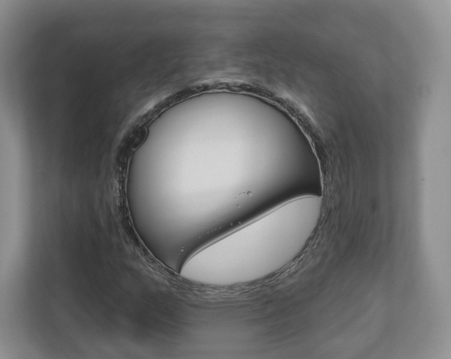 X0000110921159200906181210