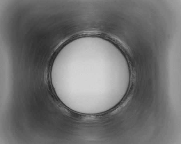 X0000110921162200906181210