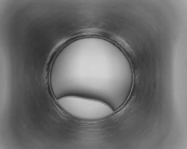 X0000110921164200906181210