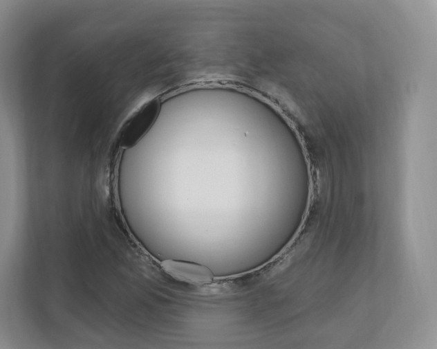 X0000110921165200906181210