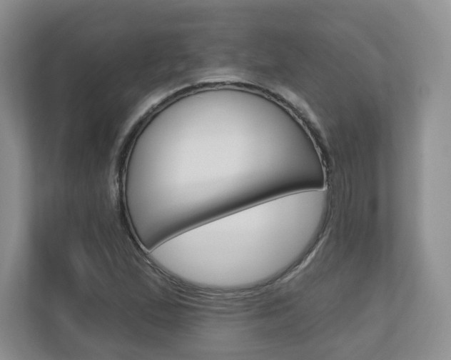 X0000110921167200906181210