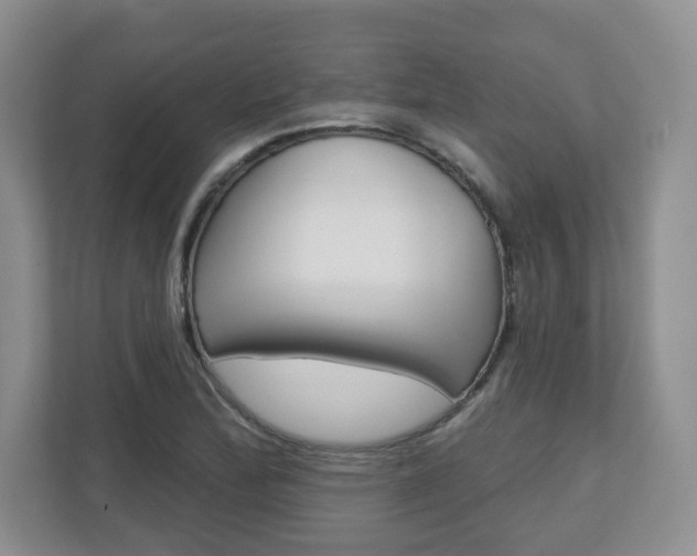 X0000110921172200906181210