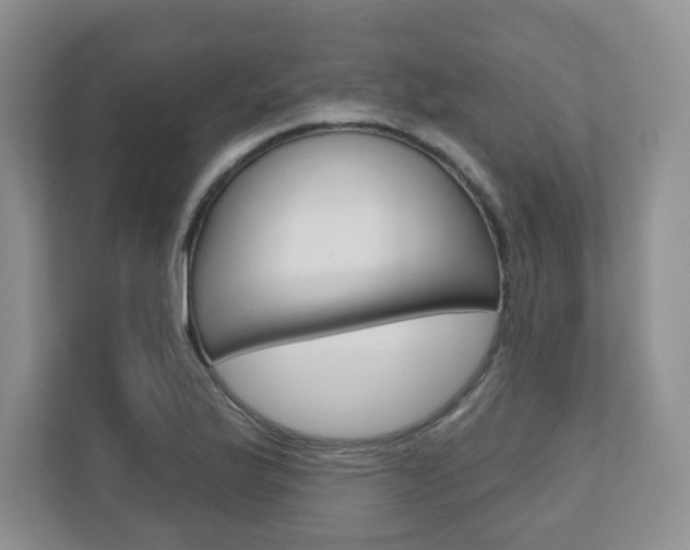 X0000110921175200906181210