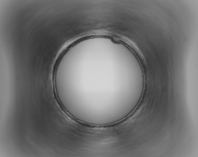 X0000110921176200906181210