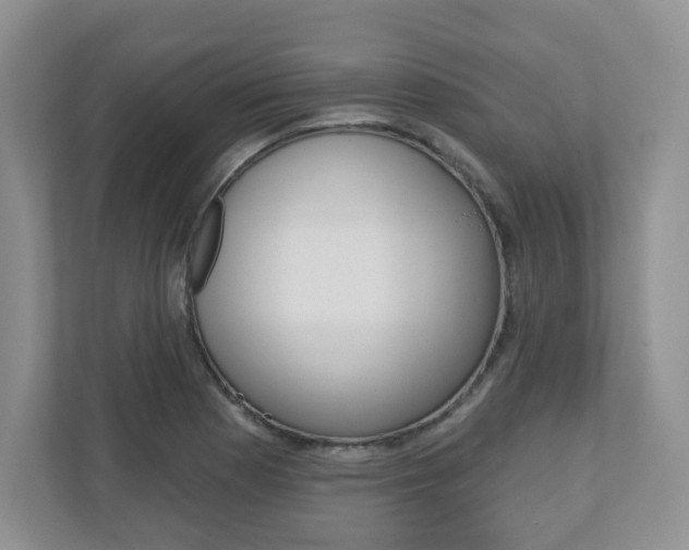 X0000110921177200906181210