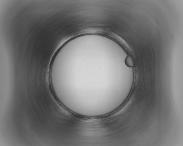 X0000110921178200906181210