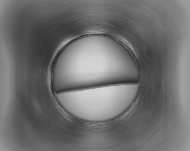 X0000110921179200906181210