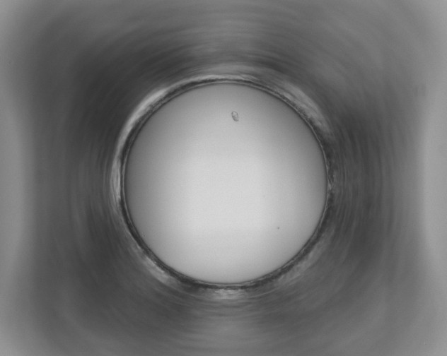 X0000110921180200906181210