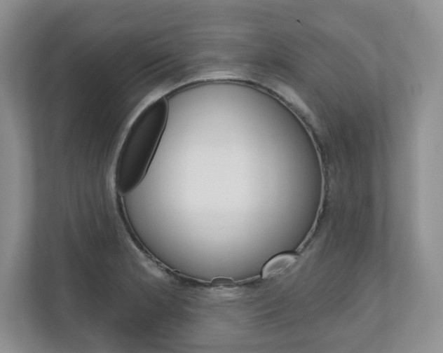 X0000110921181200906181210