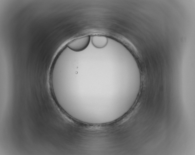 X0000110921182200906181210