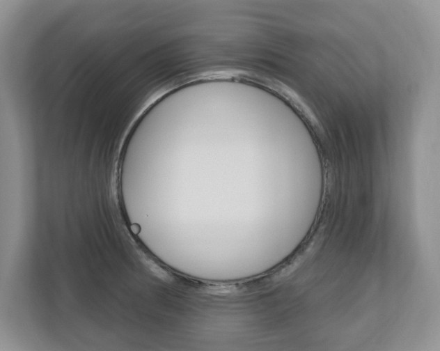 X0000110921186200906181210