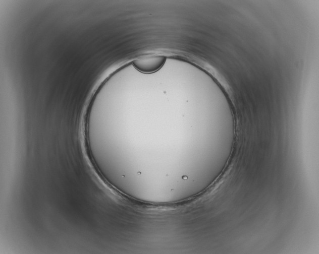 X0000110921187200906181210