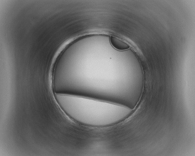 X0000110921188200906181210