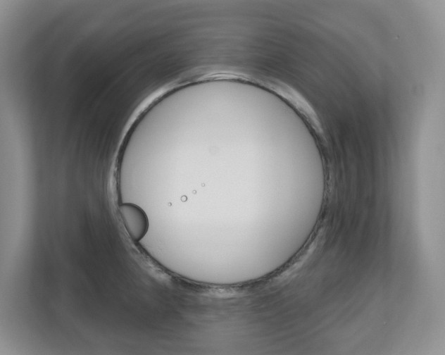 X0000110921190200906181210