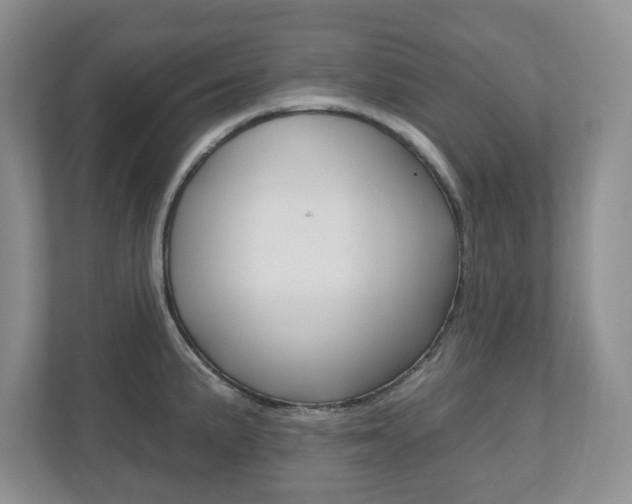 X0000110921191200906181210