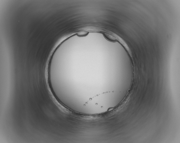 X0000110921195200906181210