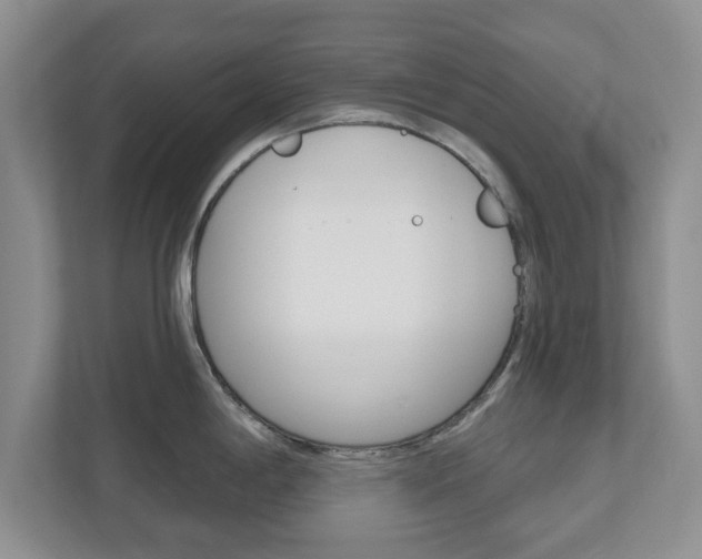 X0000110921198200906181210