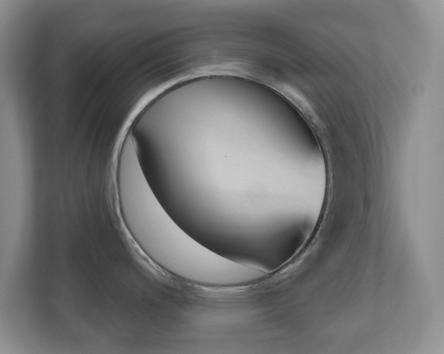 X0000110921200200906181209