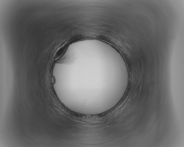 X0000110921201200906181209