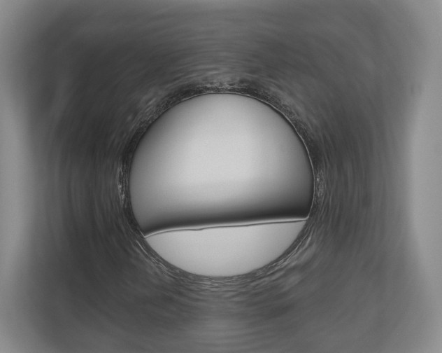 X0000110921202200906181209