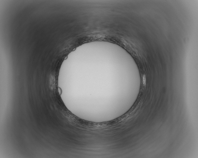 X0000110921203200906181209