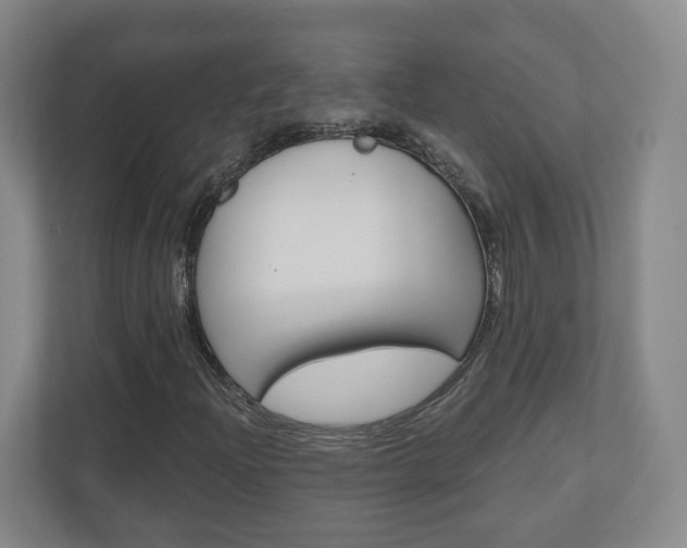 X0000110921204200906181209